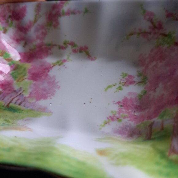 Royal Albert Blossom Time Rectangular Sweet Meat Dish - Picture 6 of 10
